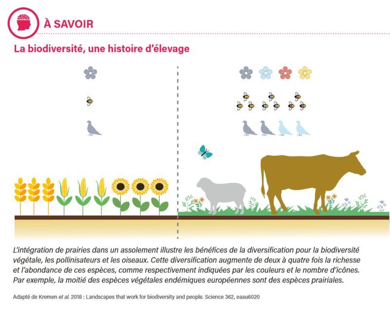 La Biodiversité, une histoire d'élevage