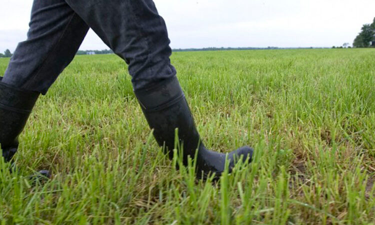 Monter mon projet agrivoltaïque étape par étape